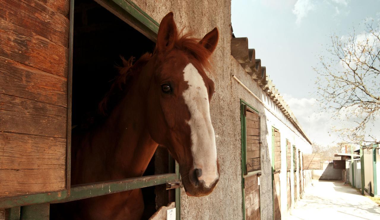 Agriturismo Fasano Cassano delle Murge Dış mekan fotoğraf